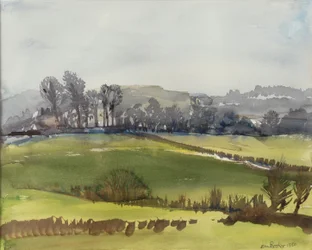 Grano invernale, 1980